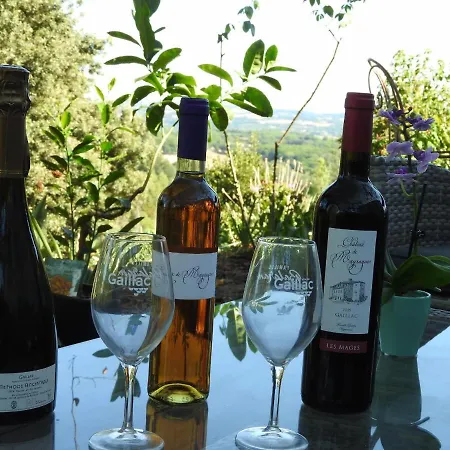 D'hotes La Dame Fines 3* Puybegon