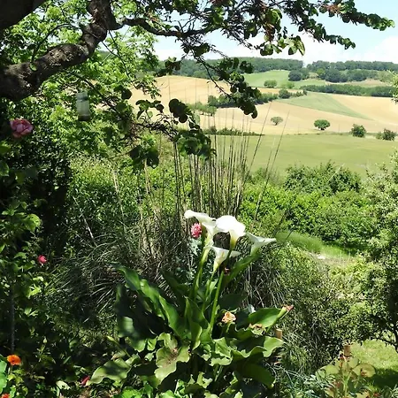 Bed & Breakfast D'hotes La Dame Fines Puybegon